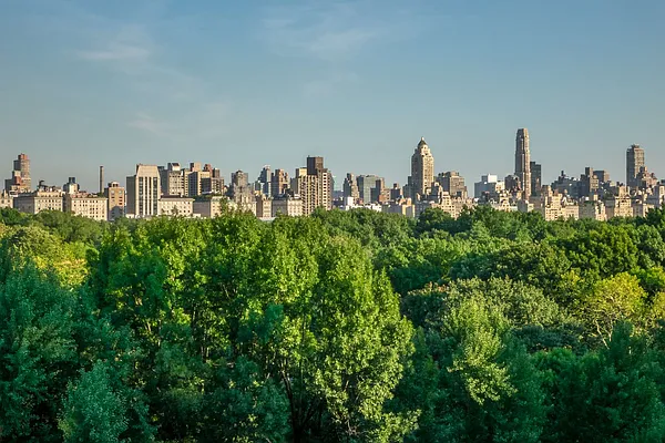 Sold by Stribling | media 20