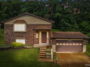 1658 Sparrow Point Ln, Fenton, MO 63026