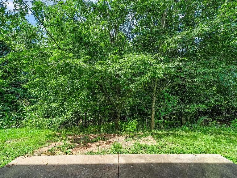 Mccormick Lane-2260 — Photo 21