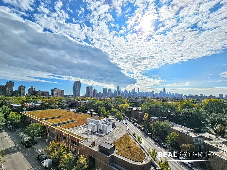558 W Webster — Photo 15