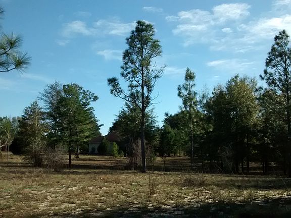 View from North side of lot