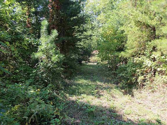 4th image of 53 Mountain Ash Way Lot 53
