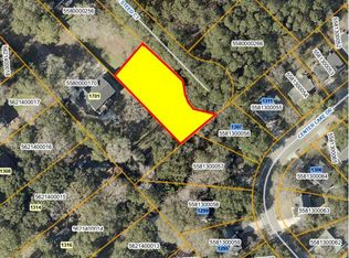 1311 Joe Steed Ct, Mount Pleasant, SC 29464