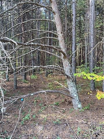2nd image of 1909 Mollys Backbone Rd #1