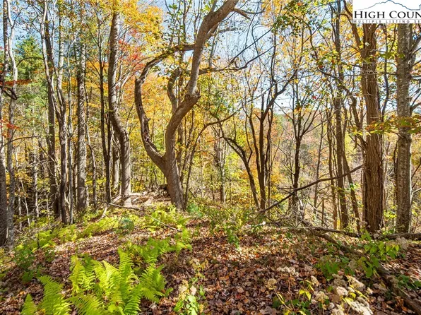 TBD Monroe Herman #3 Road, Banner Elk, NC 28604