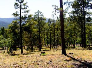 52 County Road 2058, Alpine, AZ 85920