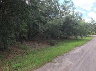 365 E Elton Ct, Lecanto, FL 34461