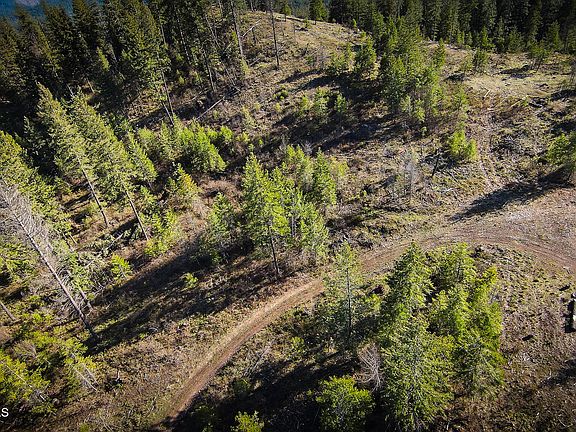 4th image of Nna Kacy Bear Ln Lot 4
