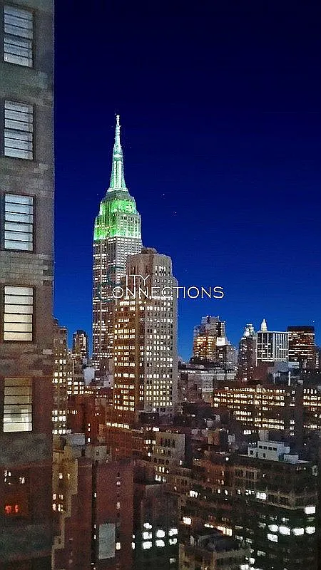 350 W 42nd St APT 36E photo 1