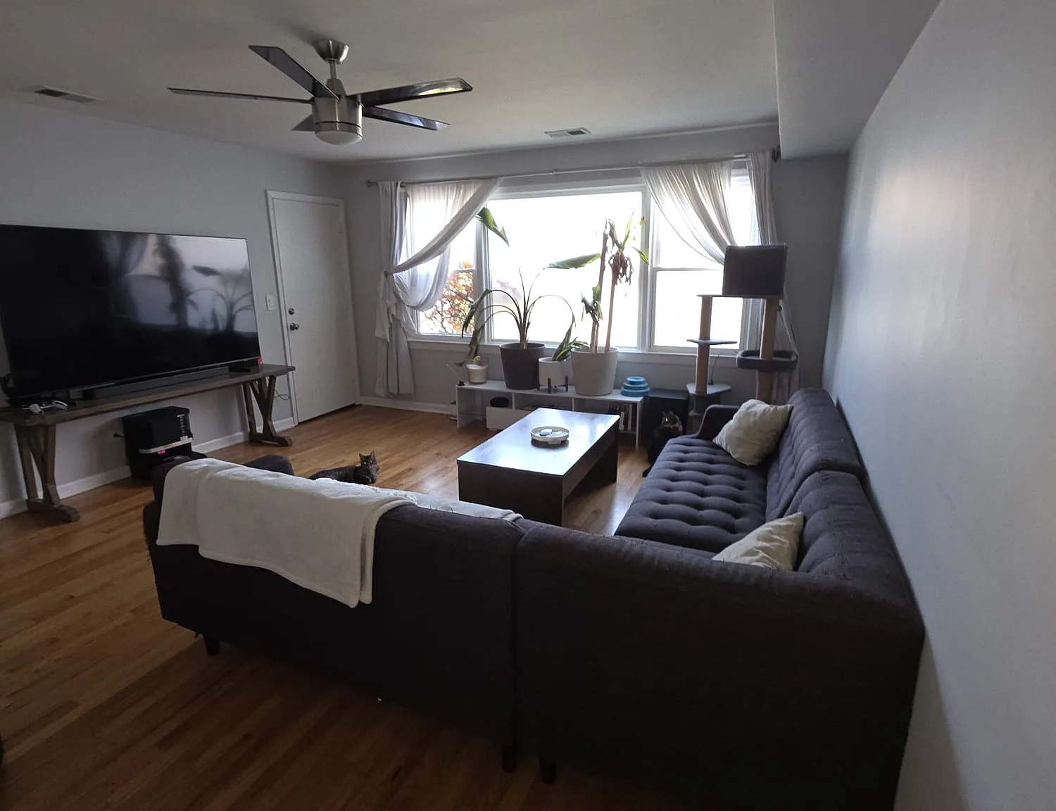 2415 N Central Ave — Photo 1