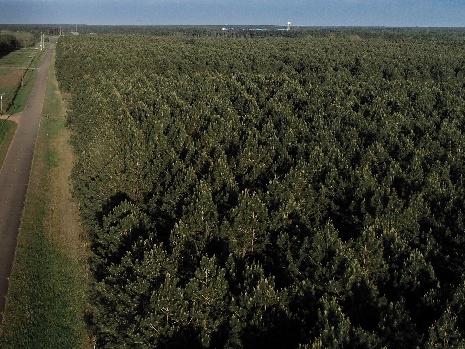 0 Northern County Line Rd, Unadilla, GA 31091 Zillow