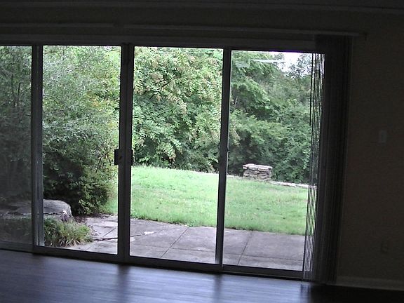 The back patio and yard, then Allsopp Park.