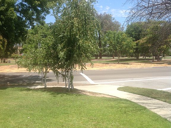 3rd image of 453 Edelweiss Dr