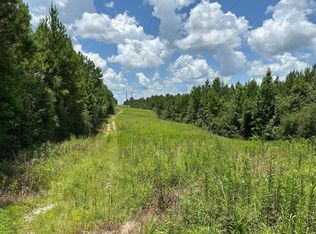 2272 Purvis To Baxterville Rd, Lumberton, MS 39455