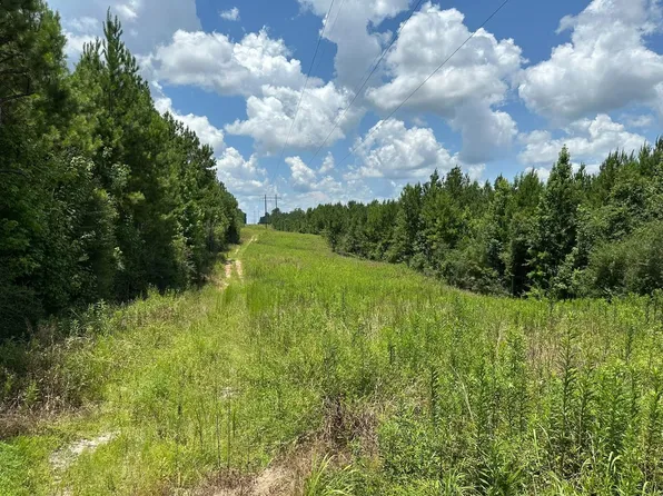 2272 Purvis To Baxterville Rd, Lumberton, MS 39455