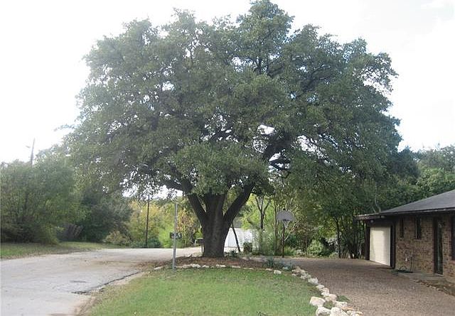 1st image of 7020 Edgemere Pl