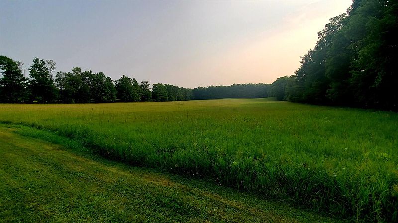 5th image of FAYVILLE Road