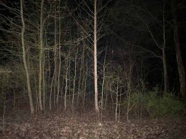 Aberdeen Monford Rd, Morgantown, KY 42261