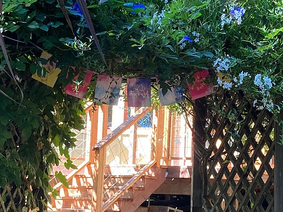 approach to cottage from garden