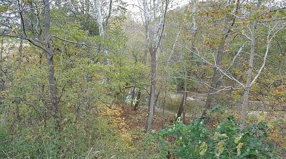 2nd image of 19388 Duck Creek Rd