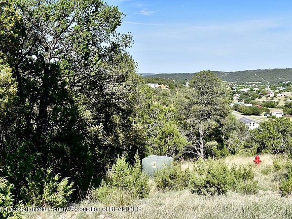 3rd image of LOT 15 Shoshone Trl