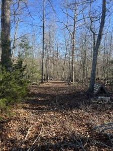 0 Genesis Rd, Lancing, TN, 37770