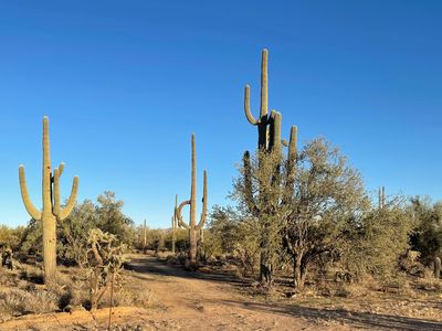 S Cattle Tank Rd, Marana, AZ, 85658