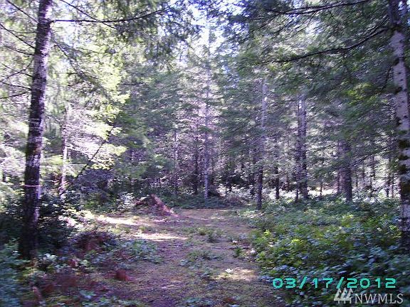 3rd image of 100 E Sunny Woods Dr