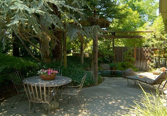 Rear yard