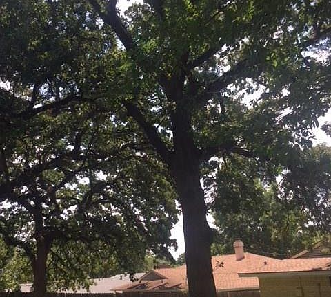 5th image of 2101 Woodoak Dr