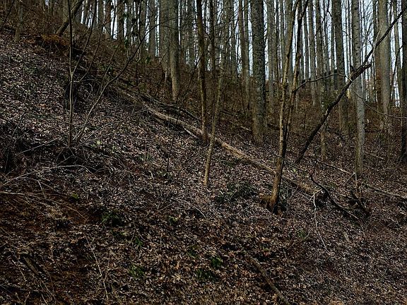 5th image of Emerald Springs Loop