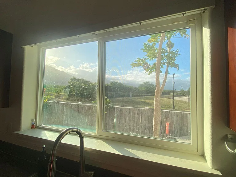 West Maui Mountain views and papaya tree from the kitchen