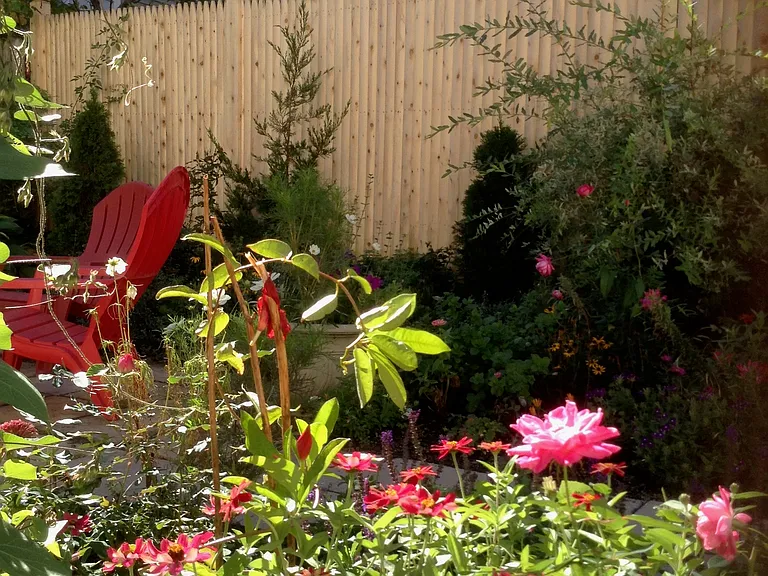 Oasis