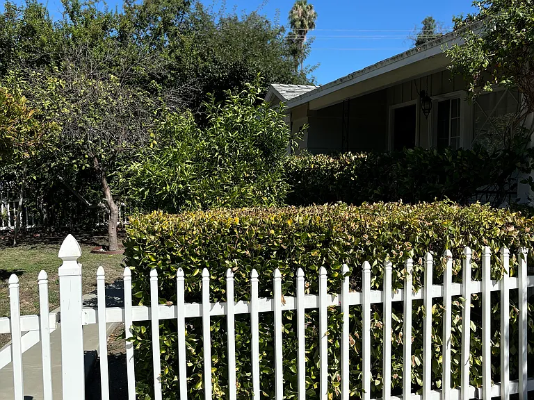 22024 Velicata St — Photo 16