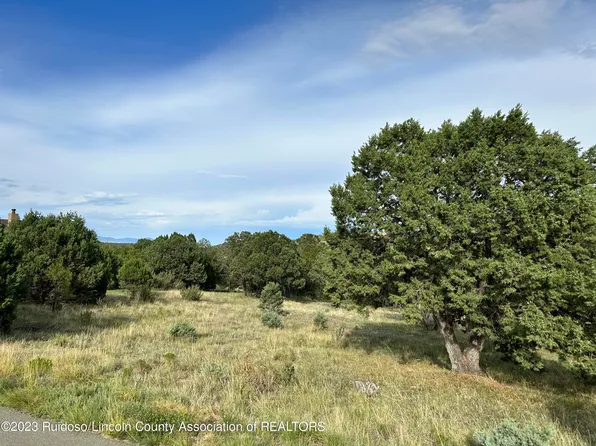 131 Antler Dr, Alto, NM 88312