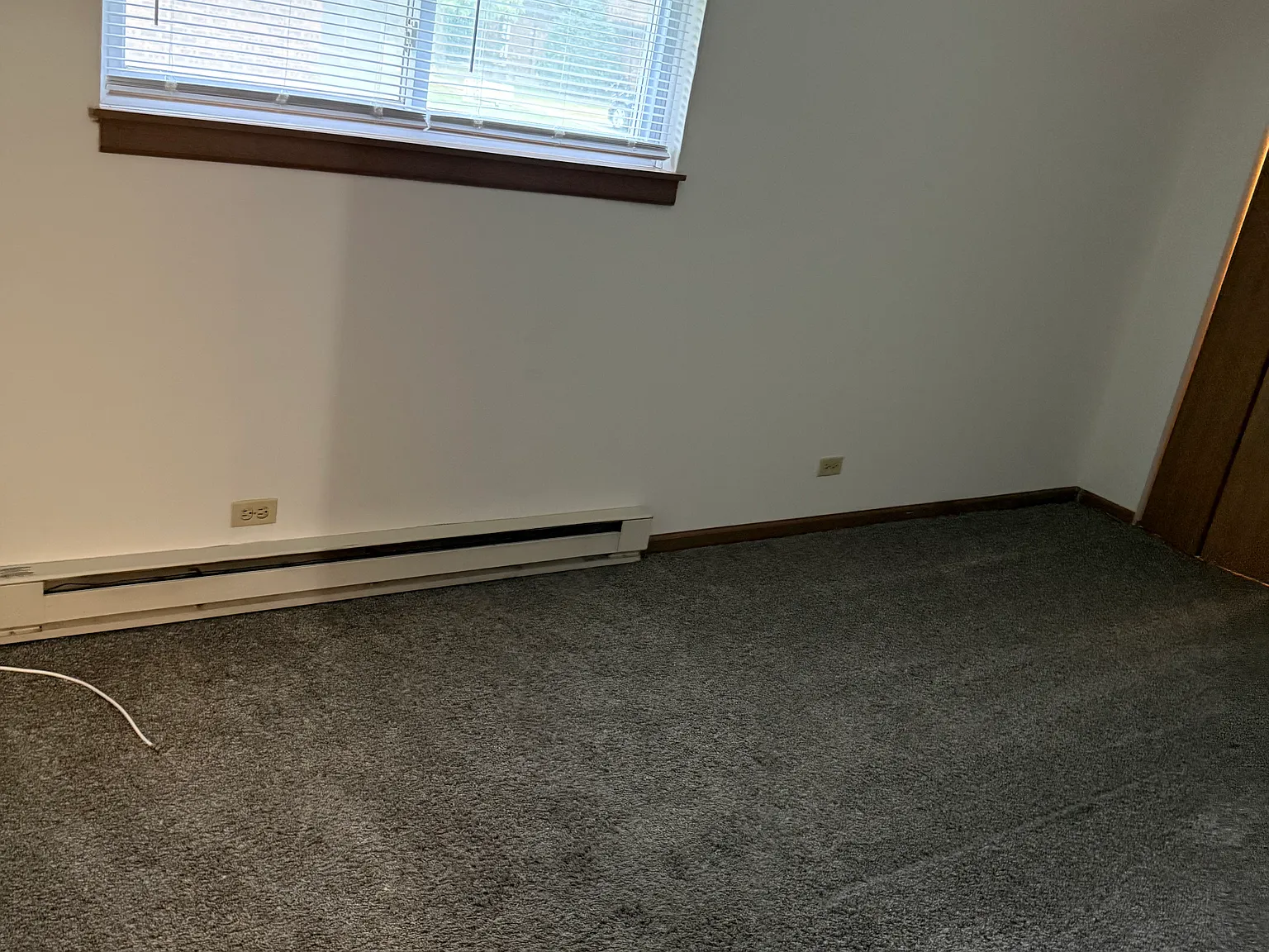 1 bed, 800 sqft, $1,395 — Photo 1