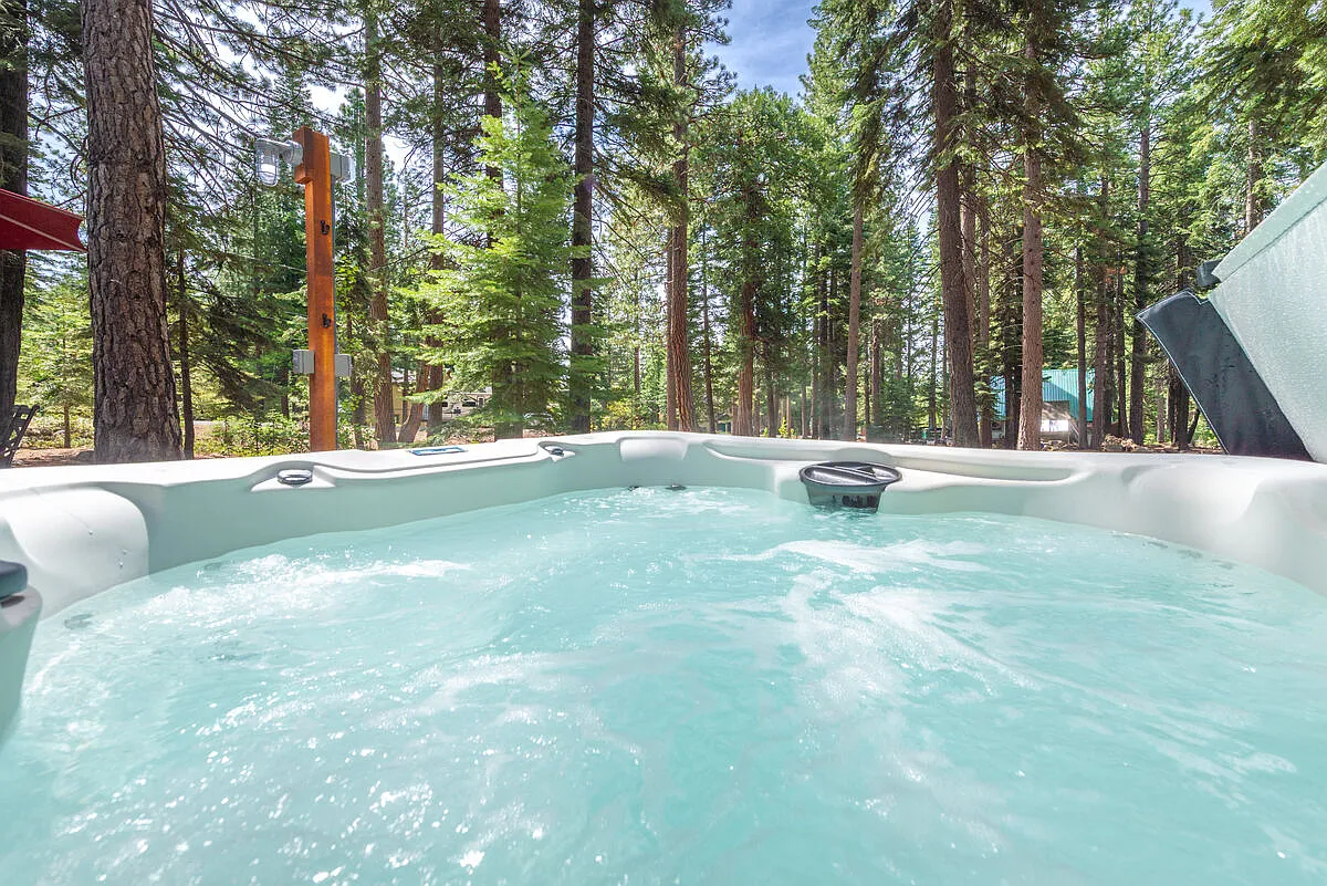 3 bed, 1000 sqft, $3,800 — Photo 3