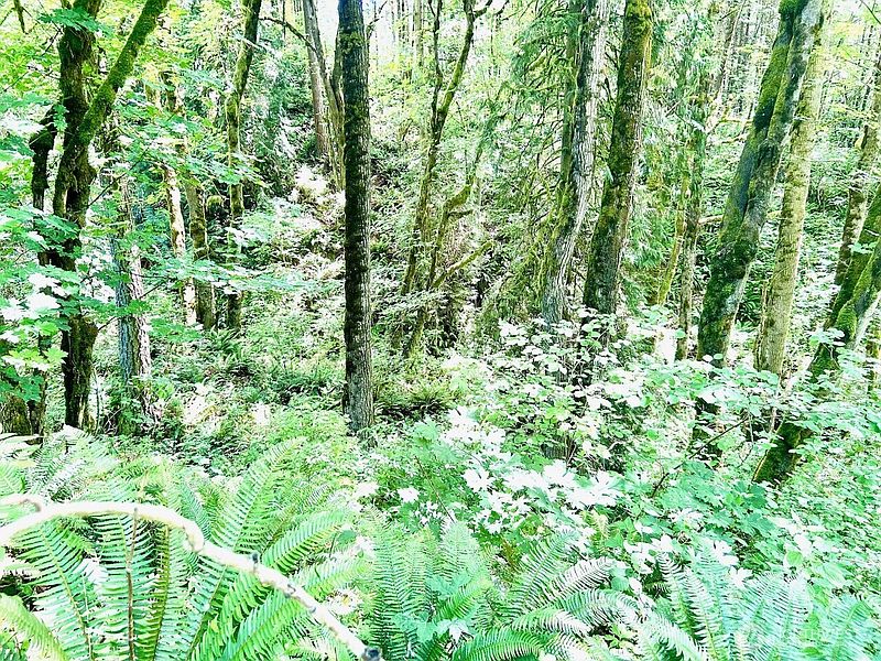 4th image of 577 Martins Bluff Road