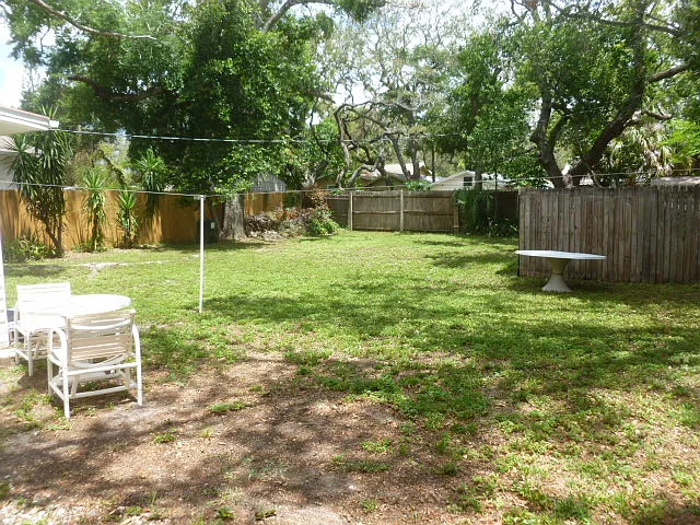 Back yard