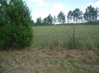 2825 Stephens Rd, Grand Ridge, FL 32442