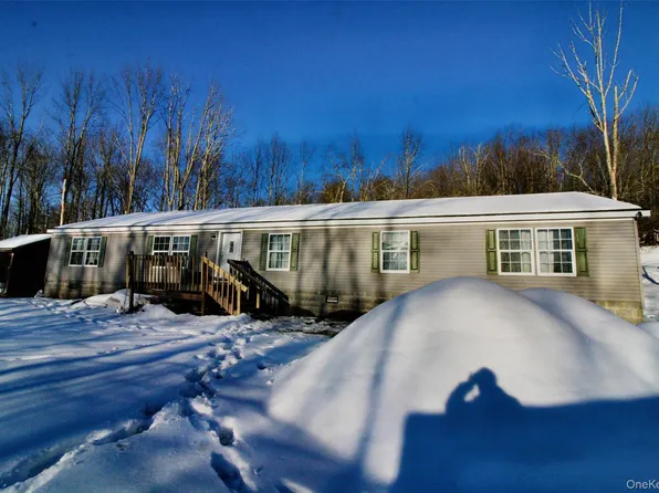 76 Parks Road, Livingston Manor, NY 12758