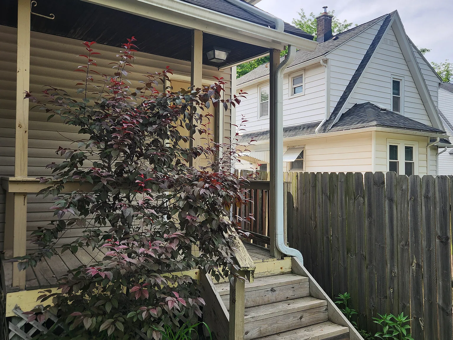 1 bed, 1000 sqft, $1,450 — Photo 3