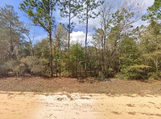 421 Brett Ave, Interlachen, FL 32148