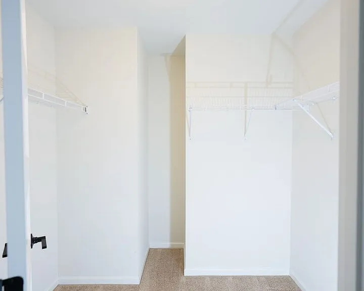245 Hollyhock Dr — Photo 31