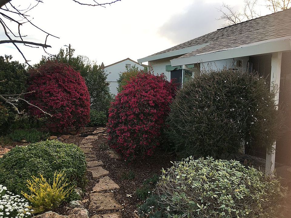 front yard spring 2020