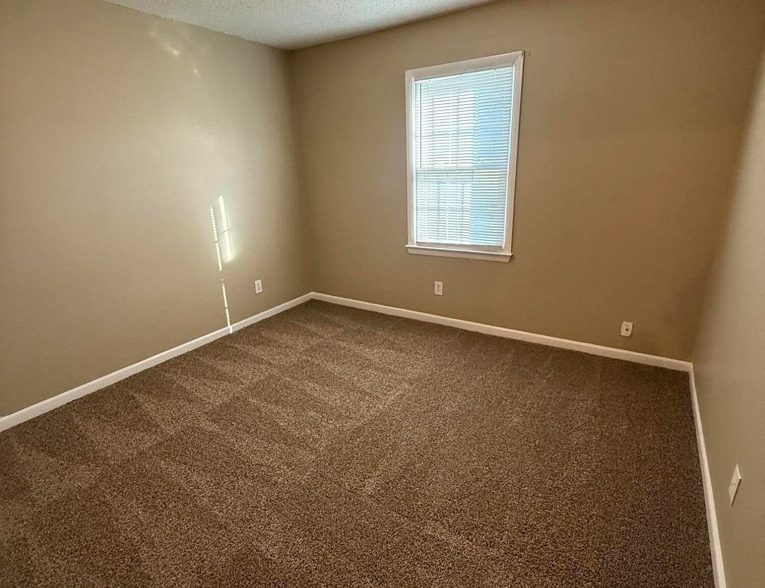 2 bed, 1.0 bath, $800 — Photo 4