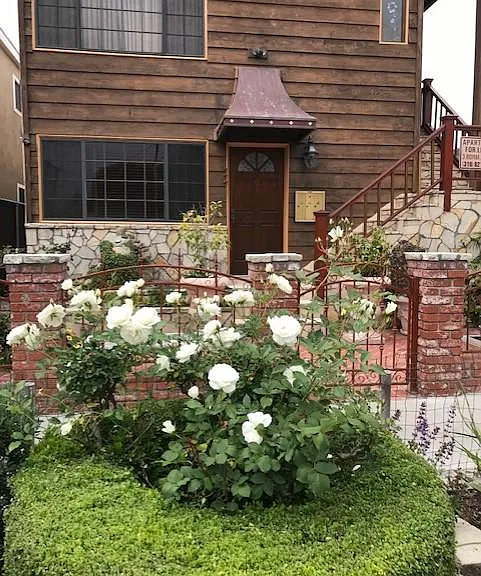 2501 Ocean Ave #LOWER — Photo 1