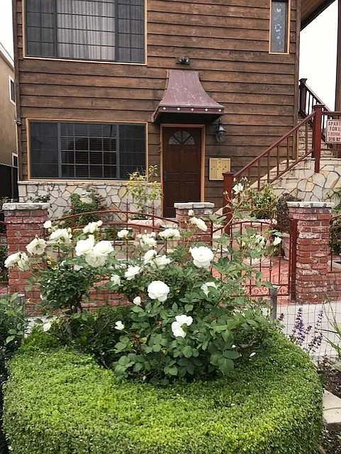 2501 Ocean Ave #LOWER