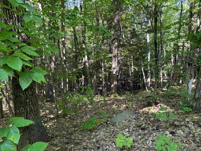 21 Circuit Road, Ossipee, NH, 03864