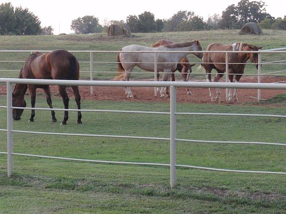 13 Turnouts w/ bermuda!